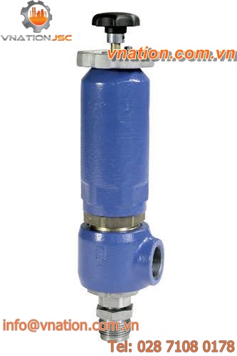 spring safety valve / threaded
