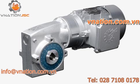 orthogonal electric gearmotor / worm / for the food industry