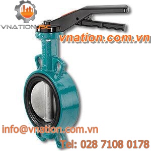 butterfly valve / manual