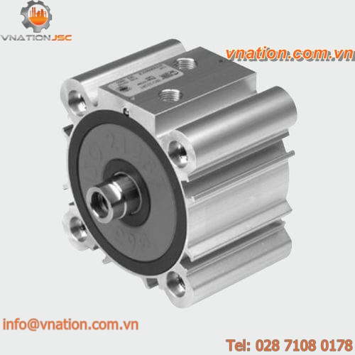 pneumatic cylinder / double-acting / single-acting / with piston rod