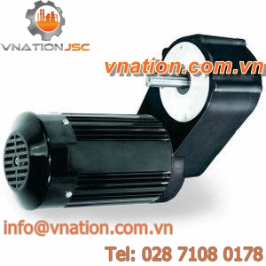 AC electric gearmotor / asynchronous / parallel-shaft / spur
